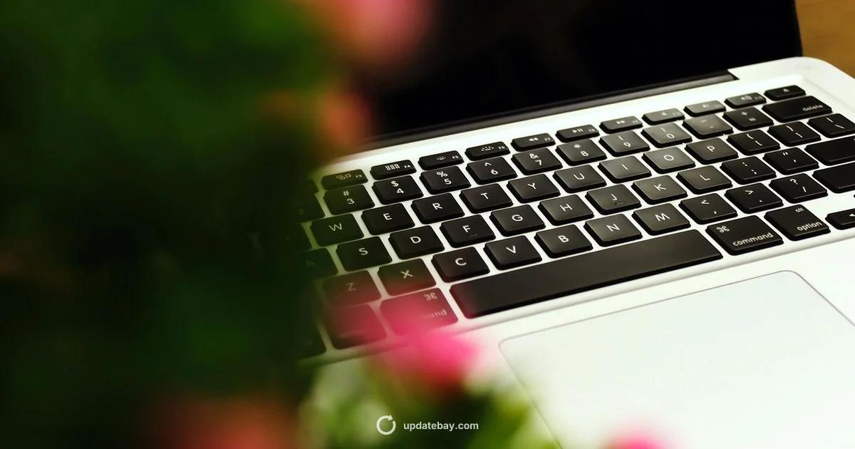 Update vs Code Mac - Update Bay