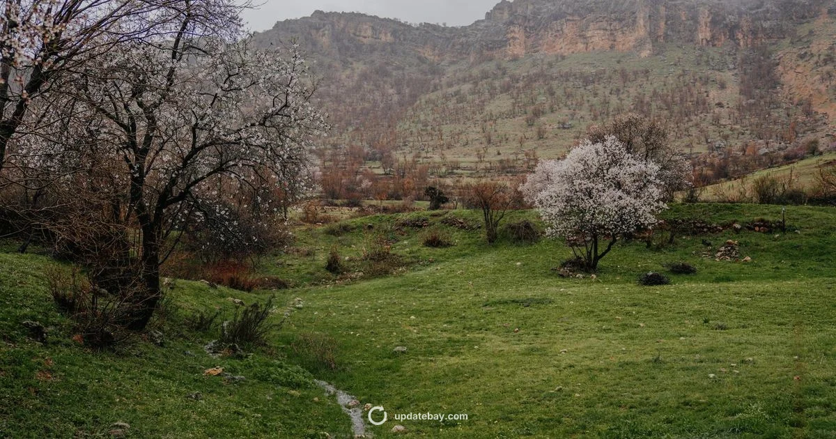 Spring to Life - Update Bay