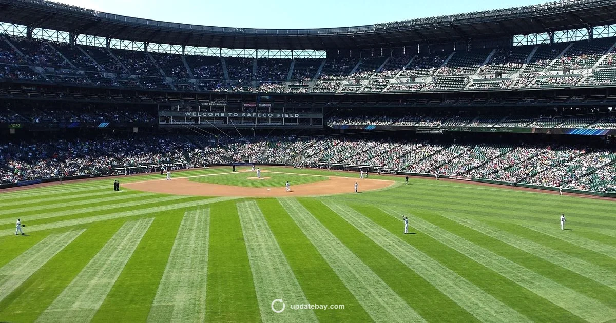 MLB Update Visual - Update Bay