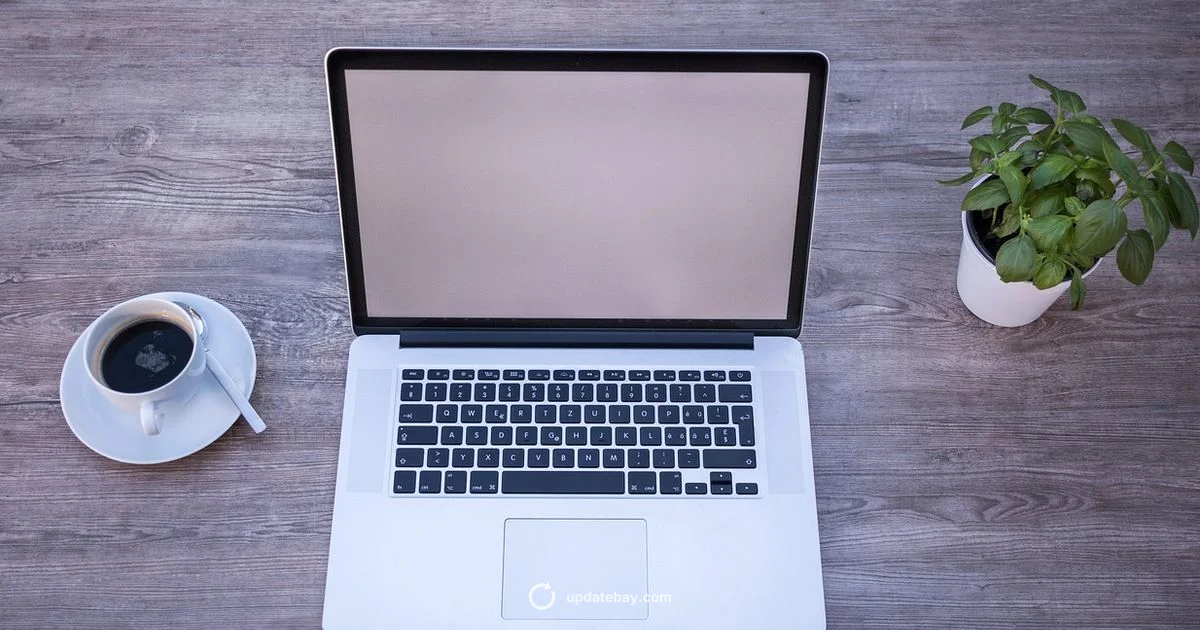 Can Update Guide - Update Bay