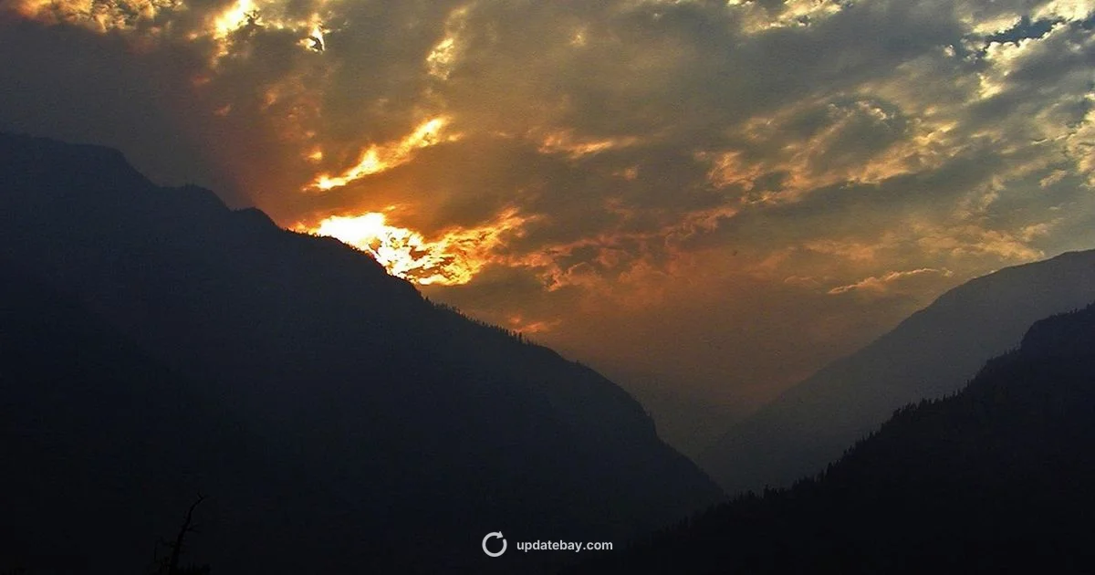 Wildfire Update - Update Bay