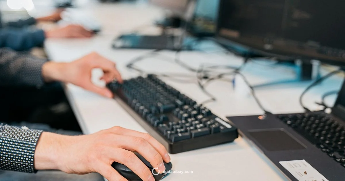 Driver Update Essentials - Update Bay