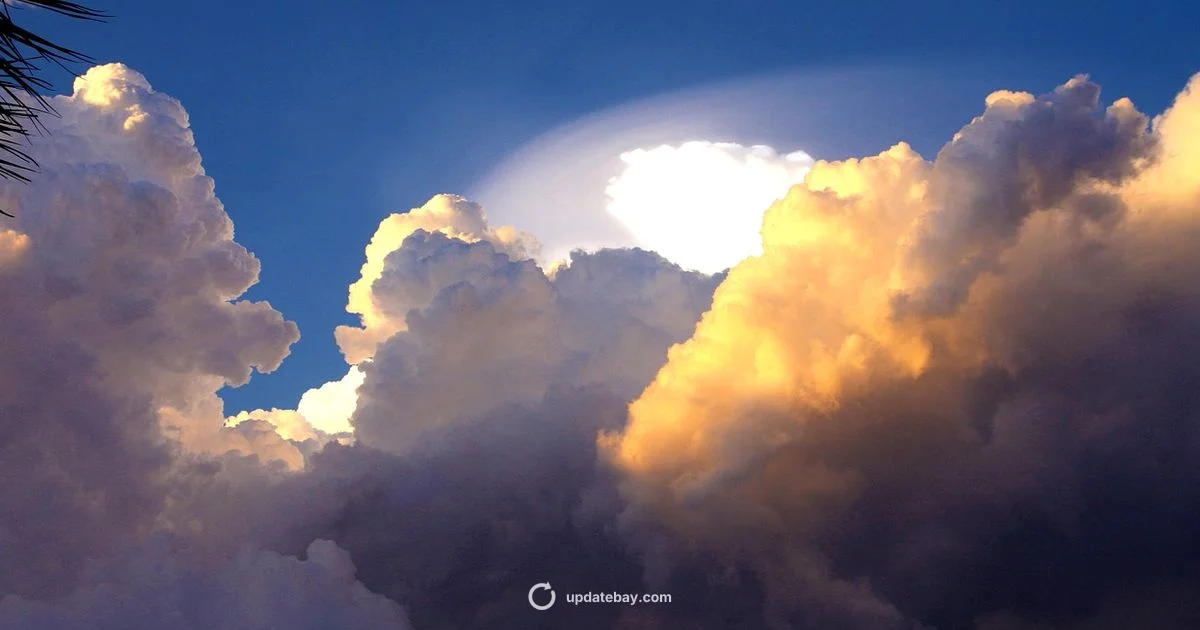 Florida Weather Update - Update Bay