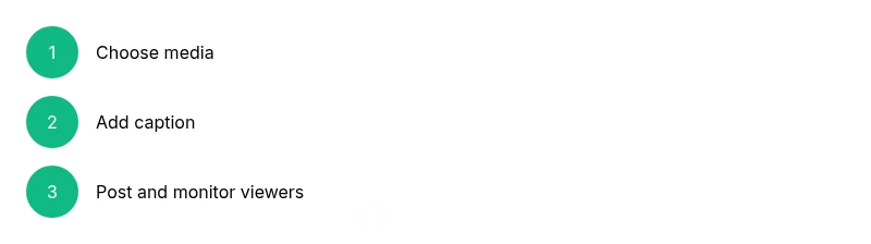 Process diagram showing choosing media, adding caption, posting status, and checking viewers