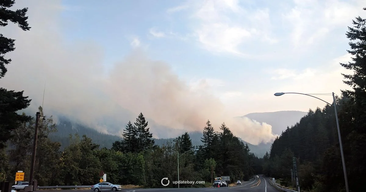 Fire Update Quick Look - Update Bay