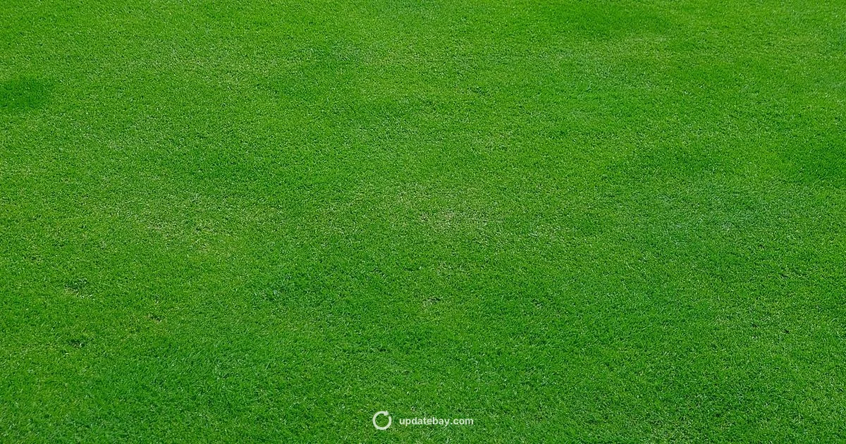 Brown Patch Guide - Update Bay