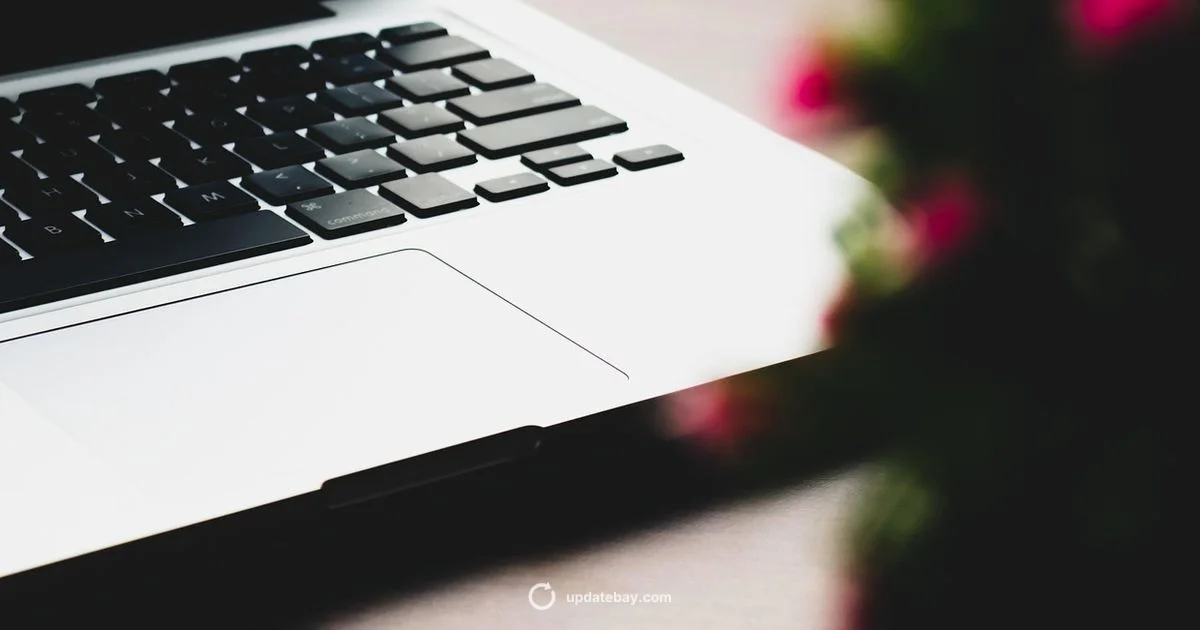 Recent Updates - Update Bay