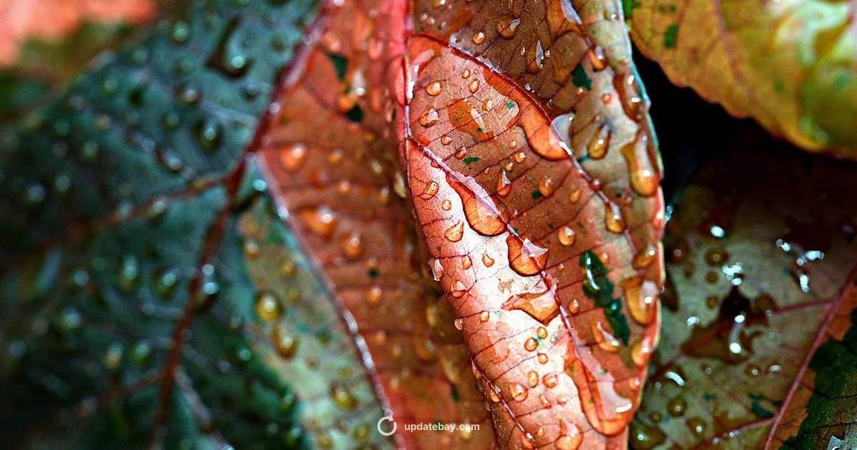 Copper Update Guide - Update Bay