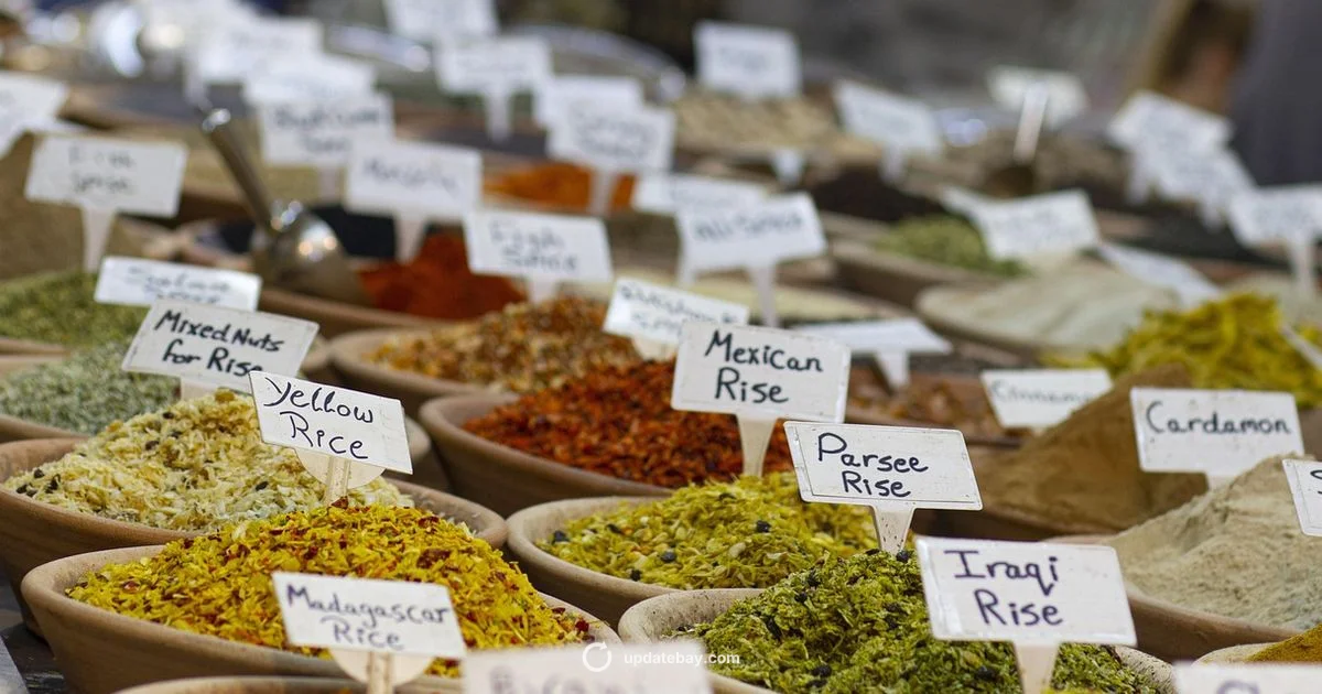 Israel News Update - Update Bay