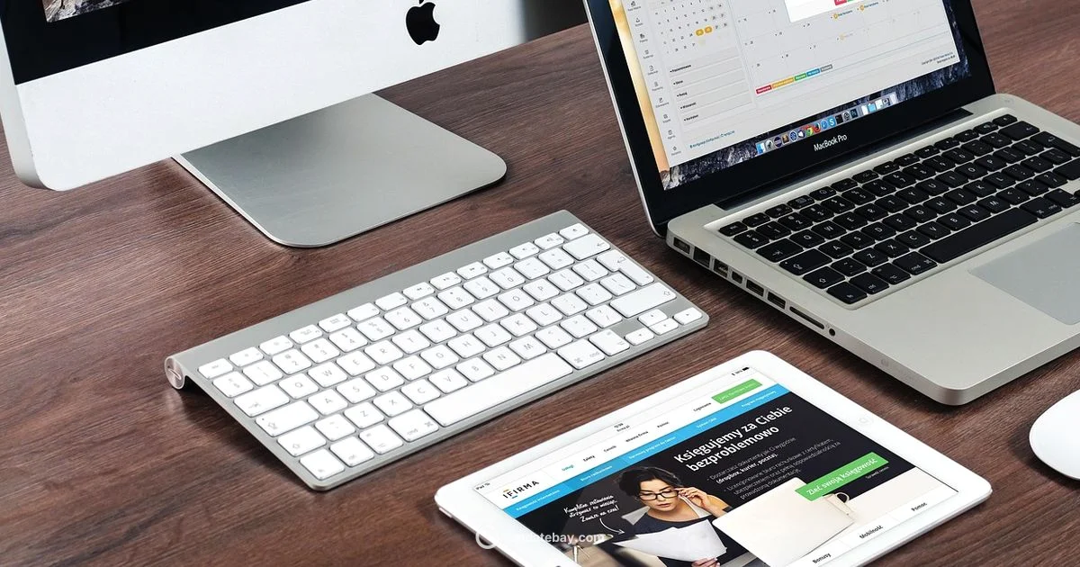 Safari Update - Update Bay