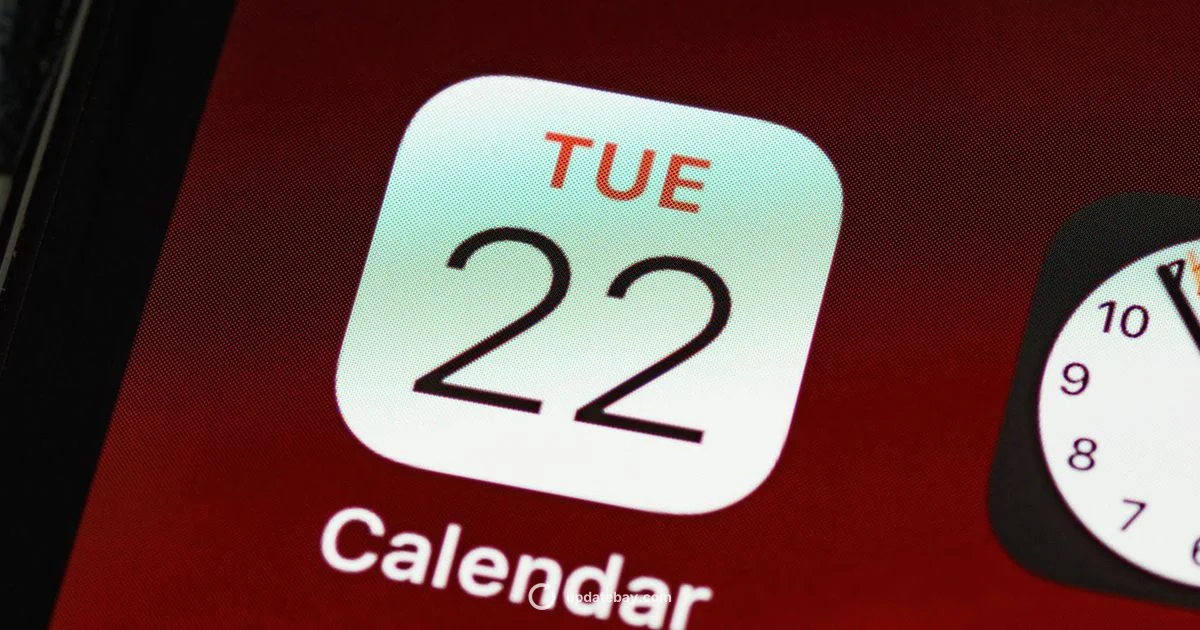 iPhone Update Guide - Update Bay