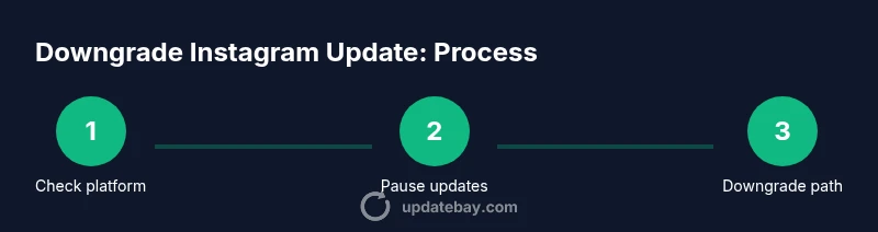 Process diagram for downgrading Instagram update