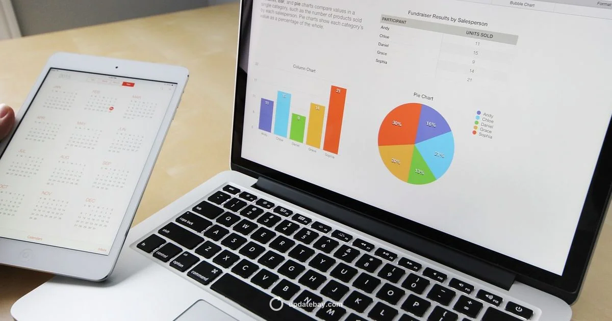 IQD Insights - Update Bay
