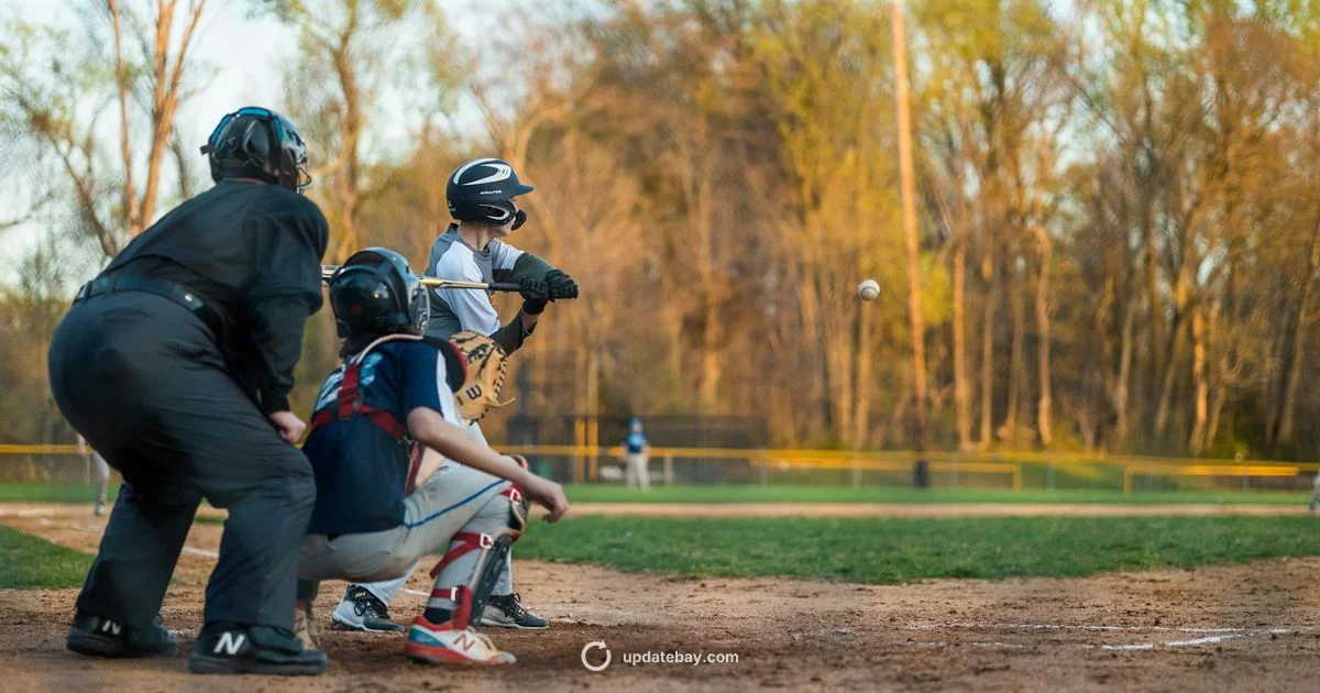 Roster Update 2026 - Update Bay