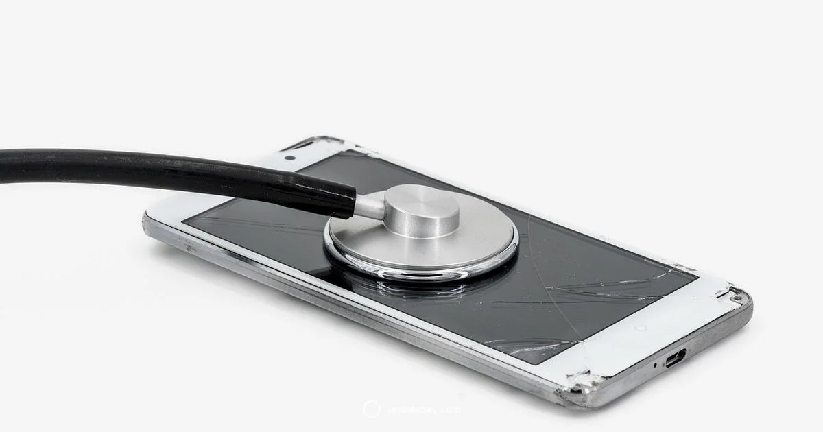 Downgrade Guide Downgrade Guide - Update Bay