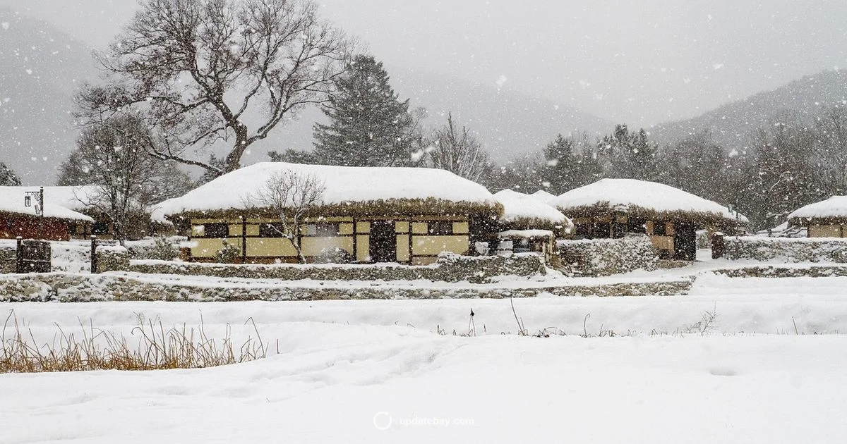 Winter Storm Update - Update Bay