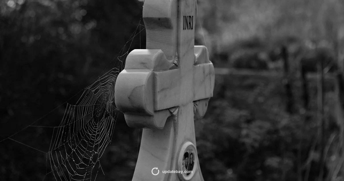 Update 1.2 Patch - Update Bay