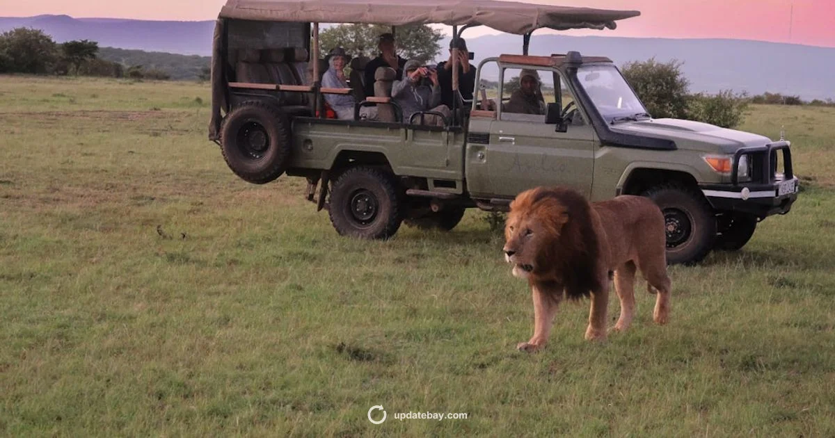 Safari Update Guide - Update Bay