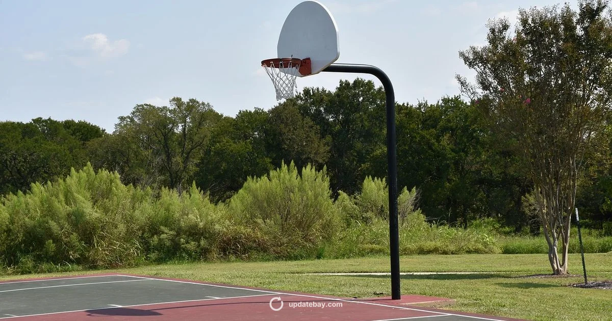 Lakers Update - Update Bay