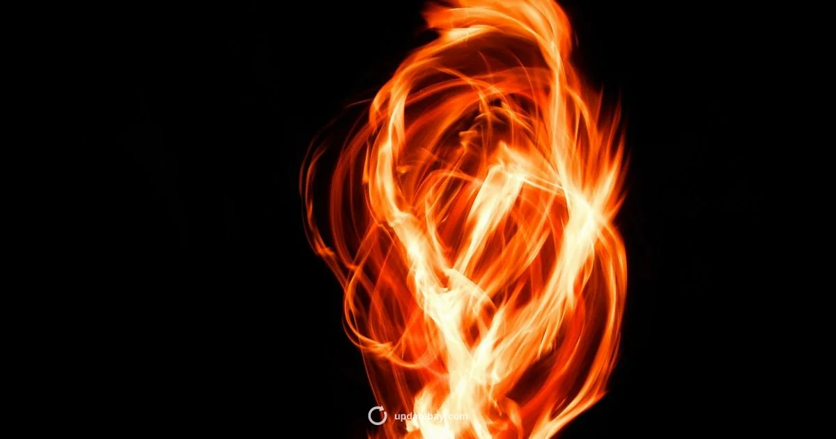 LA Fire Update - Update Bay