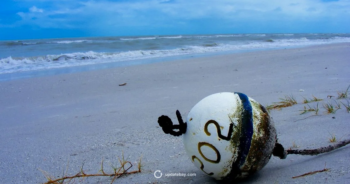 Gulf Tropical Update - Update Bay