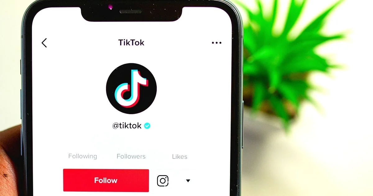 TikTok Update Snapshot - Update Bay