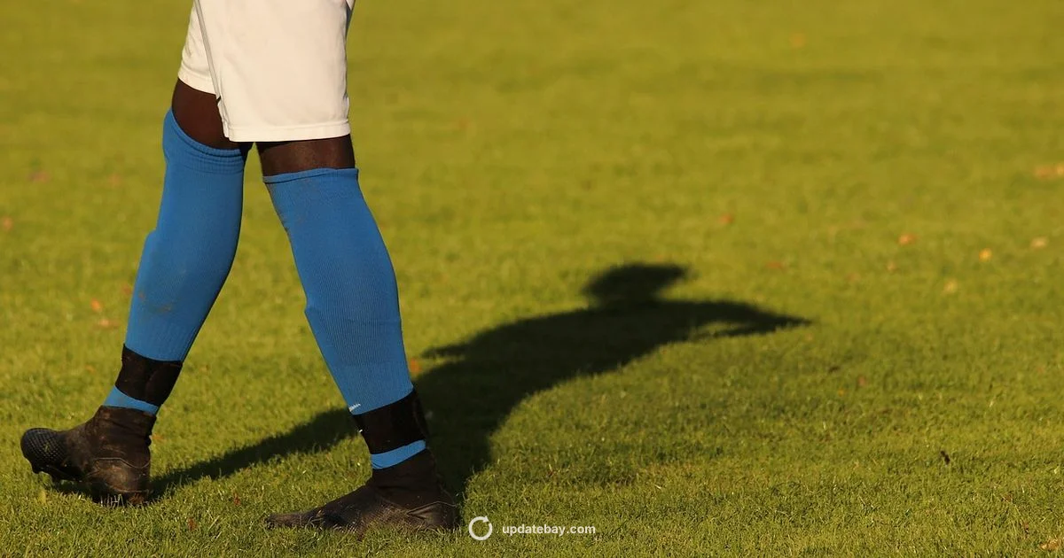 Lacy Update - Update Bay