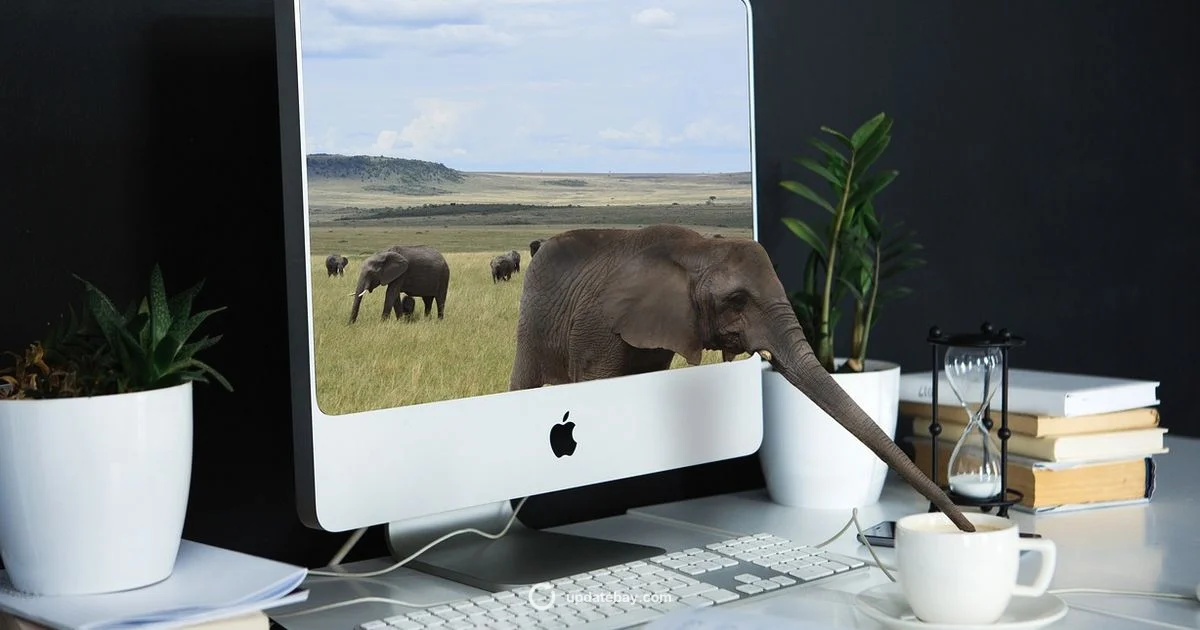 KYC Update Guide - Update Bay