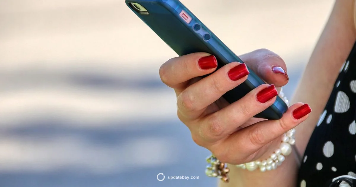 WhatsApp Updates - Update Bay