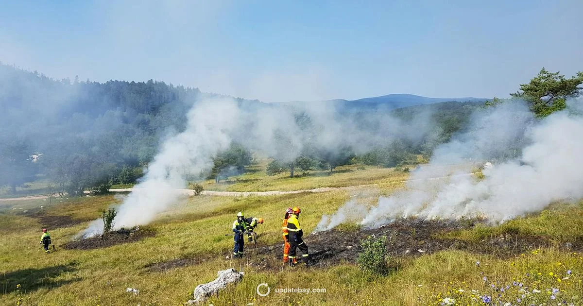 Fire Update - Update Bay