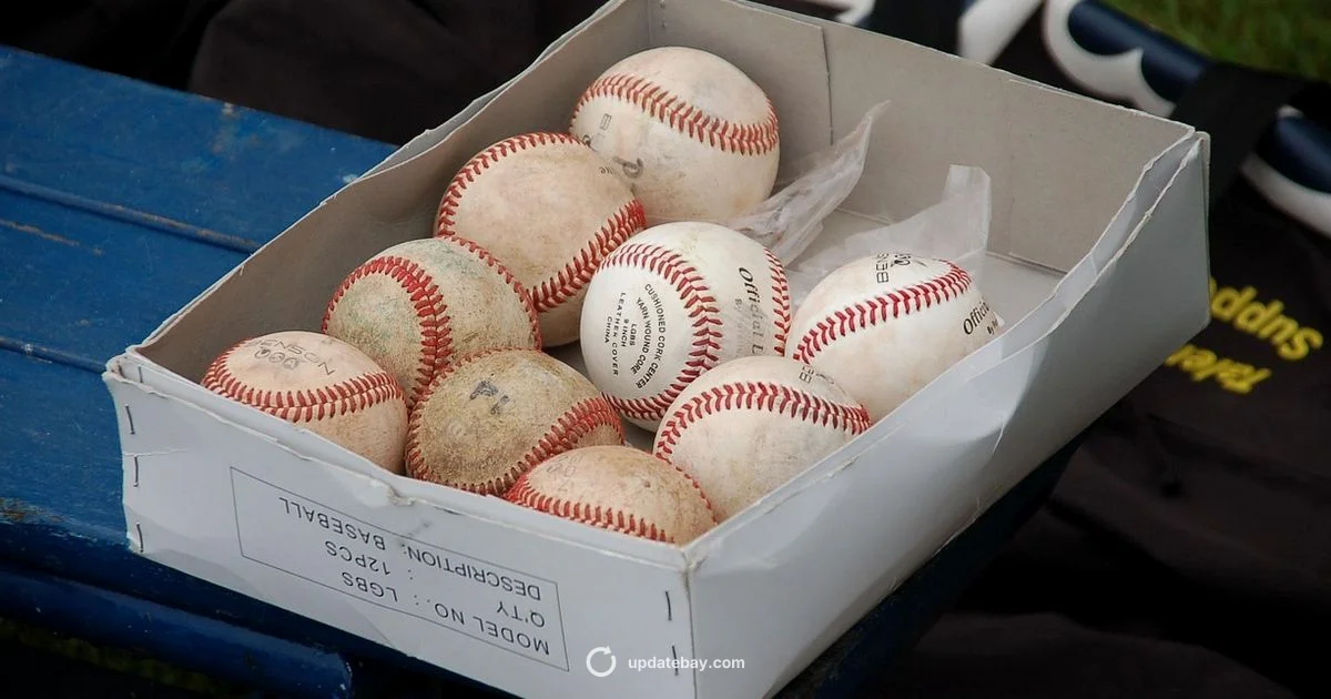 Chrome Update 2024 Box - Update Bay