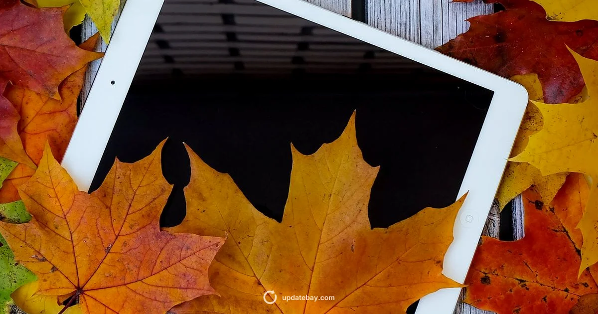 Update iPad Apps - Update Bay