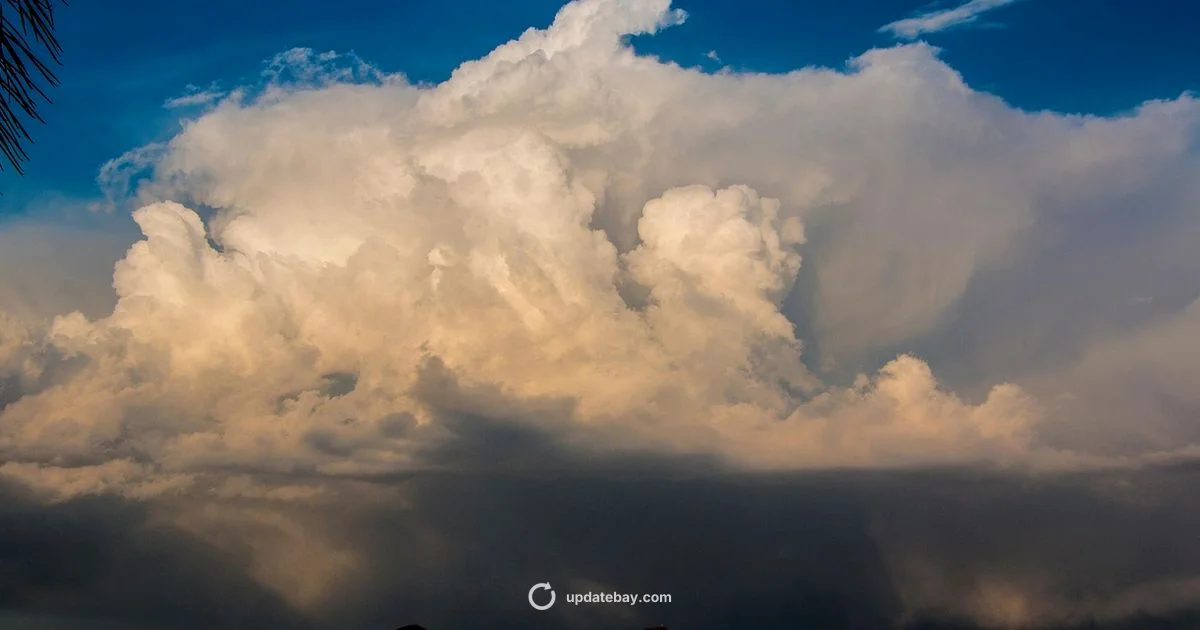 Storm Update - Update Bay